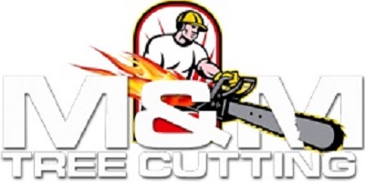 Discounted Tree Cutting and Removal Company